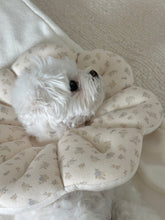 画像をギャラリービューアに読み込む, 【eyou / 予約】ピアナネックカラー - Soft blossom