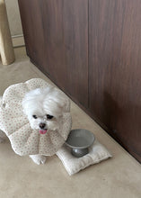 画像をギャラリービューアに読み込む, 【eyou / 即納】NEWピアナネックカラー