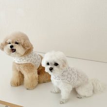 画像をギャラリービューアに読み込む, 【eyou / 予約】果実ハーネス(ハーネス)