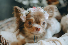 画像をギャラリービューアに読み込む, 《受注販売》monmoのわんこの花かんむり