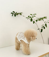 画像をギャラリービューアに読み込む, 【eyou / 即納】レースベスト - leaf