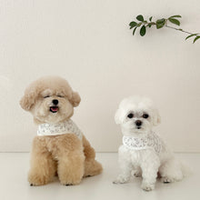 画像をギャラリービューアに読み込む, 【eyou / 予約】果実ハーネス(ハーネス)