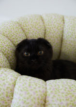 画像をギャラリービューアに読み込む, 【azalea / 予約】カヌレクッション(violet)