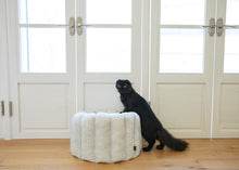 画像をギャラリービューアに読み込む, 【azalea / 予約】カヌレクッション(sky)