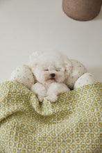 画像をギャラリービューアに読み込む, 【即納/azalea】カヌレクッション(Flower)