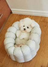 画像をギャラリービューアに読み込む, 【azalea / 予約】カヌレクッション(sky)