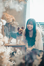 画像をギャラリービューアに読み込む, わんこ撮影会 フォトギャラリー