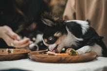 画像をギャラリービューアに読み込む, 【tesoro】わんこピザのお届け便 🍕