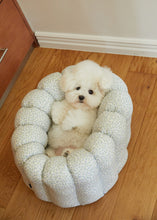 画像をギャラリービューアに読み込む, 【azalea / 予約】カヌレクッション(sky)