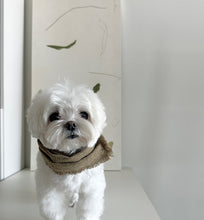 画像をギャラリービューアに読み込む, 【eyou / 予約】ソリッドマフラー - Wool