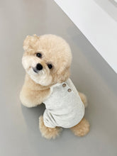 画像をギャラリービューアに読み込む, 【eyou / 予約】ワッフルオールインワン