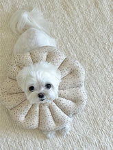 画像をギャラリービューアに読み込む, 【eyou / 予約】ピアナネックカラー - Soft blossom