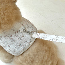 画像をギャラリービューアに読み込む, 【eyou / 予約】果実ハーネス(ハーネス)