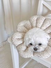 画像をギャラリービューアに読み込む, 【eyou / 予約】ピアナネックカラー - Soft blossom