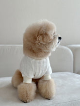 画像をギャラリービューアに読み込む, 【eyou / 即納】ベルベティマンツーマン