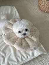 画像をギャラリービューアに読み込む, 【eyou / 予約】ピアナネックカラー - Soft blossom