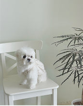 画像をギャラリービューアに読み込む, 【eyou / 即納】ミルクベビーバルーン