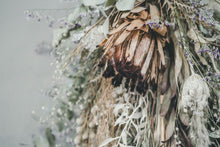 画像をギャラリービューアに読み込む, 《 order 》プロテアのワイルドスワッグ