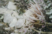 画像をギャラリービューアに読み込む, 《 order 》プロテアのワイルドスワッグ