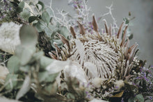 画像をギャラリービューアに読み込む, 《 order 》プロテアのワイルドスワッグ