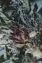 画像をギャラリービューアに読み込む, 《 order 》プロテアのワイルドスワッグ