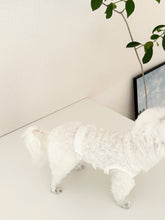 画像をギャラリービューアに読み込む, 【eyou / 即納】レースベスト - leaf