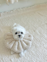 画像をギャラリービューアに読み込む, 【eyou / 予約】ピアナネックカラー - Soft blossom