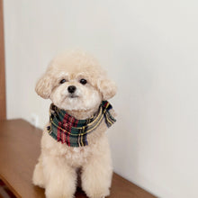 画像をギャラリービューアに読み込む, 【eyou / 即納】メリーメリーマフラー