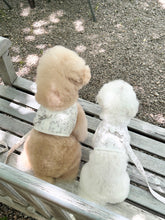 画像をギャラリービューアに読み込む, 【eyou / 予約】果実ハーネス(ハーネス)