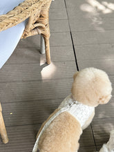 画像をギャラリービューアに読み込む, 【eyou / 予約】果実ハーネス(ハーネス)