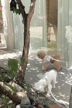 画像をギャラリービューアに読み込む, 【eyou / 予約】果実ハーネス(リード)