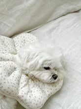 画像をギャラリービューアに読み込む, 【eyou / 即納】NEWピアナネックカラー