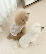 画像をギャラリービューアに読み込む, 【eyou / 即納】レースベスト - leaf