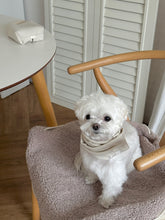 画像をギャラリービューアに読み込む, 【eyou / 予約】ニットマフラー