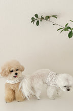 画像をギャラリービューアに読み込む, 【eyou / 予約】果実ハーネス(ハーネス)