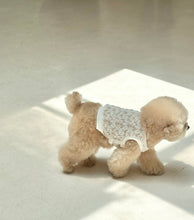 画像をギャラリービューアに読み込む, 【eyou / 即納】レースベスト - leaf