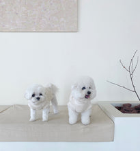 画像をギャラリービューアに読み込む, 【eyou / 予約】クロップルポーラニット