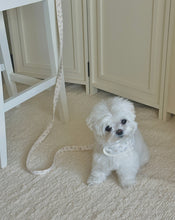 画像をギャラリービューアに読み込む, 【eyou / 予約】ミルクベビーハーネス