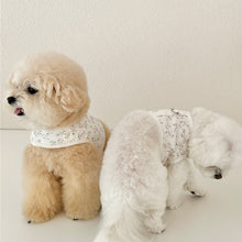 画像をギャラリービューアに読み込む, 【eyou / 予約】果実ハーネス(ハーネス)