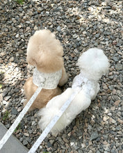 画像をギャラリービューアに読み込む, 【eyou / 予約】果実ハーネス(リード)