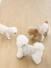 画像をギャラリービューアに読み込む, 【eyou / 予約】ワッフルナシティ