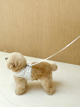 画像をギャラリービューアに読み込む, 【eyou / 予約】果実ハーネス(ハーネス)