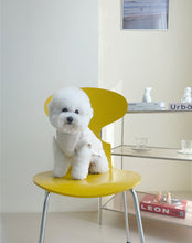 画像をギャラリービューアに読み込む, 【eyou / 予約】クロップルポーラニット