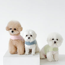 画像をギャラリービューアに読み込む, 【eyou / 予約】ピグメントハーネス