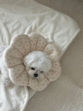 画像をギャラリービューアに読み込む, 【eyou / 予約】ピアナネックカラー - Soft blossom