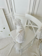 画像をギャラリービューアに読み込む, 【eyou / 予約】Soft days harness - Flower(リード)