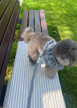 画像をギャラリービューアに読み込む, 【ohdibs / 予約】capeness no.4 leash(リード)