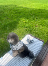 画像をギャラリービューアに読み込む, 【ohdibs / 予約】capeness no.4(ケープネス)