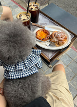 画像をギャラリービューアに読み込む, 【ohdibs / 予約】capeness no.4 leash(リード)