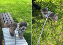 画像をギャラリービューアに読み込む, 【ohdibs / 予約】capeness no.4(ケープネス)